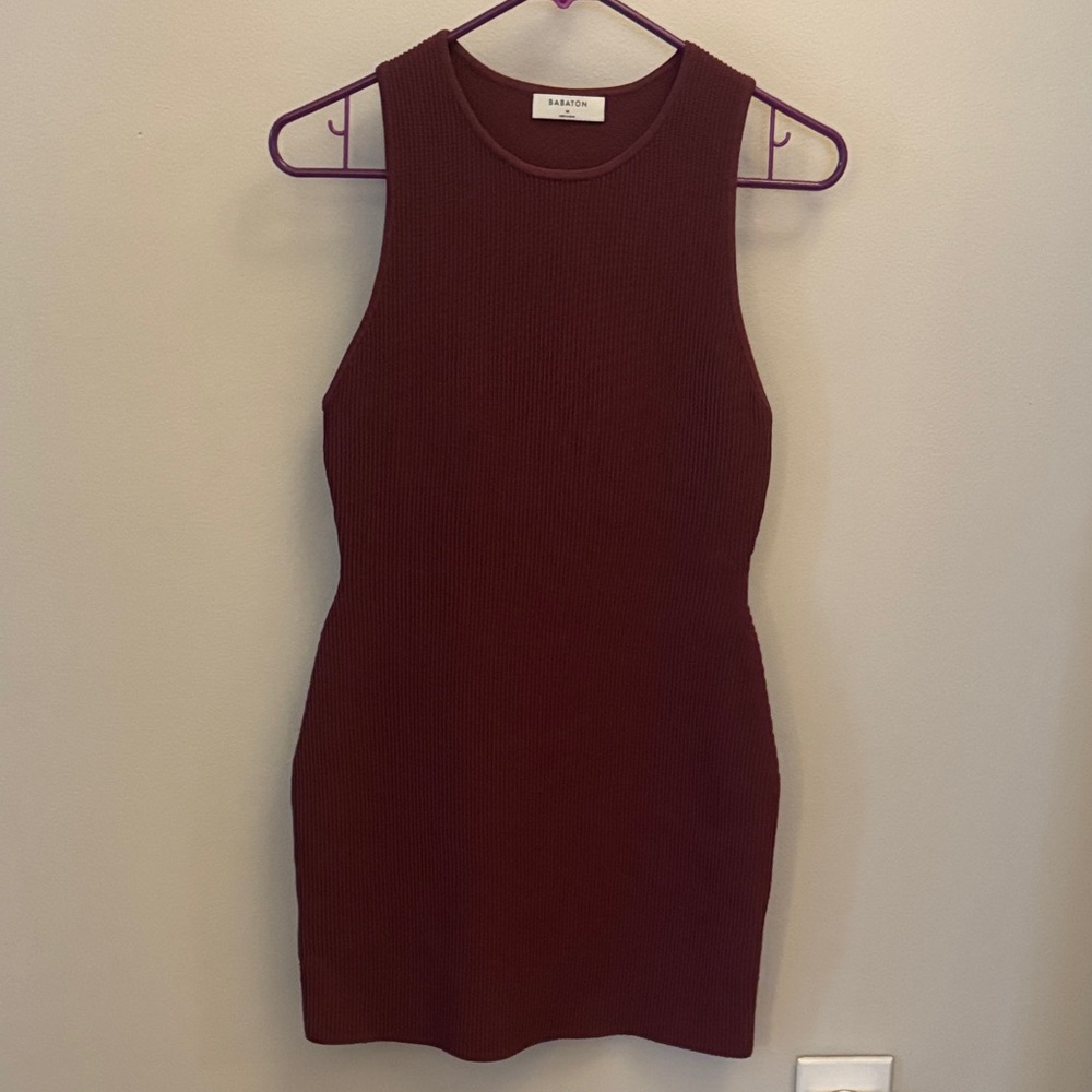 Aritzia Burgundy Sleeveless Dress